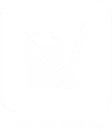 cleaning service